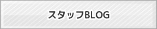 スタッフブログ